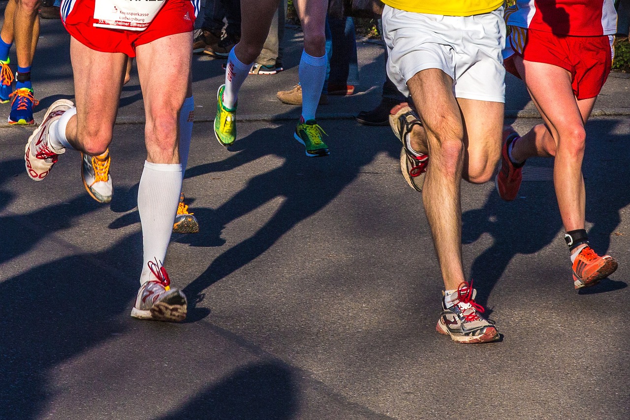 Marathon de Saumur 2024